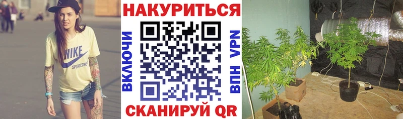 Конопля Bruce Banner  наркотики  Полтавская 